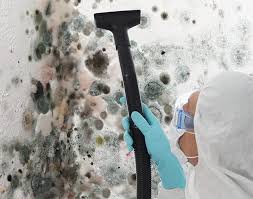 Mold Remediation for Vacation Homes in San Miguel, CA